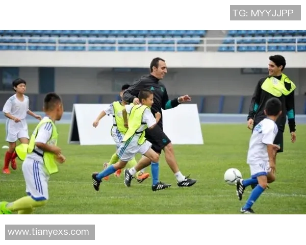 从青涩少年到绿茵传奇足球明星成长历程全纪录